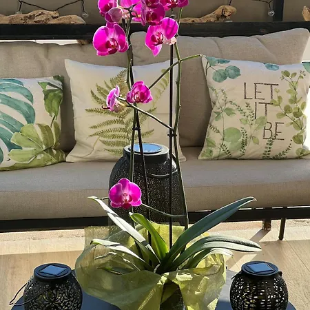Lejlighed Bright Spacious Luxury